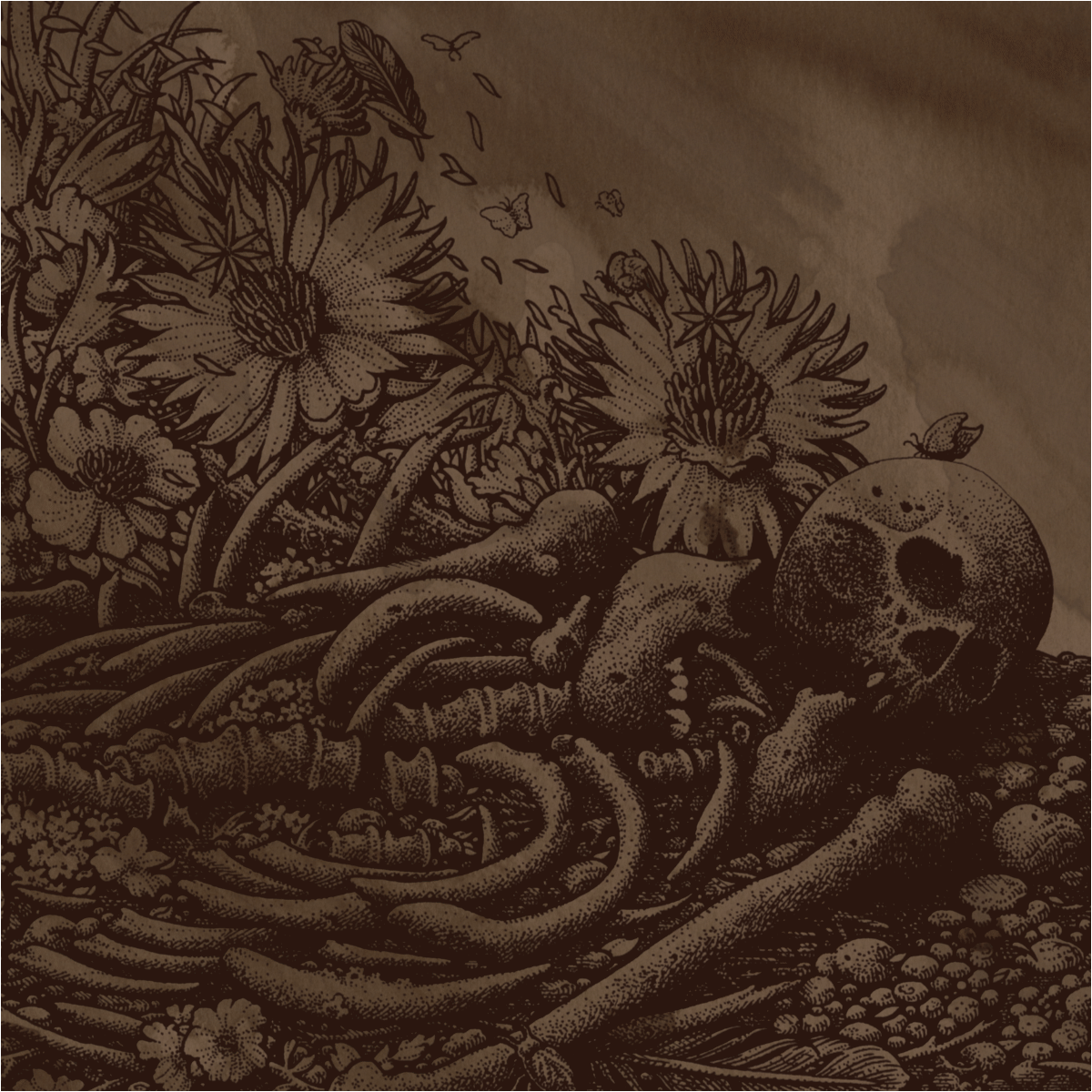 Habak - Mil Orquideas... CD